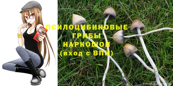 бошки Покров