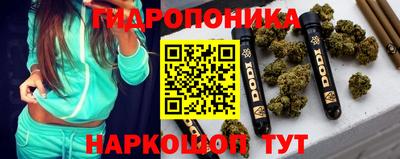 шишки Гусиноозёрск