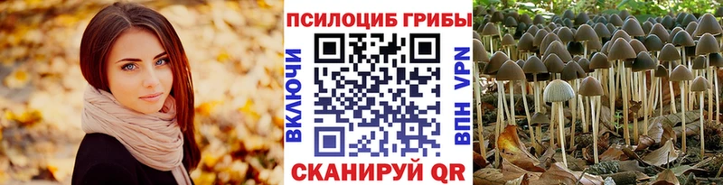 Псилоцибиновые грибы Cubensis  Карпинск 