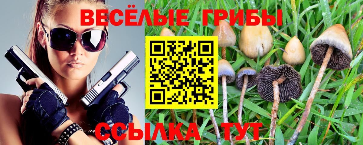 Псилоцибиновые грибы MAGIC MUSHROOMS Карпинск