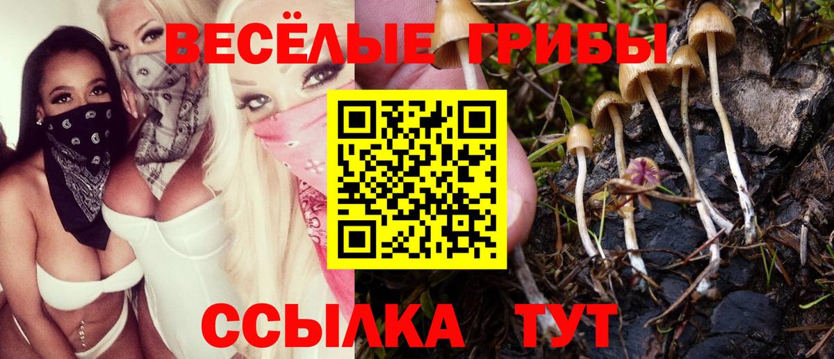 Галлюциногенные грибы MAGIC MUSHROOMS  Вход с VPN  Карпинск  Галлюциногенные грибы прущие грибы 
