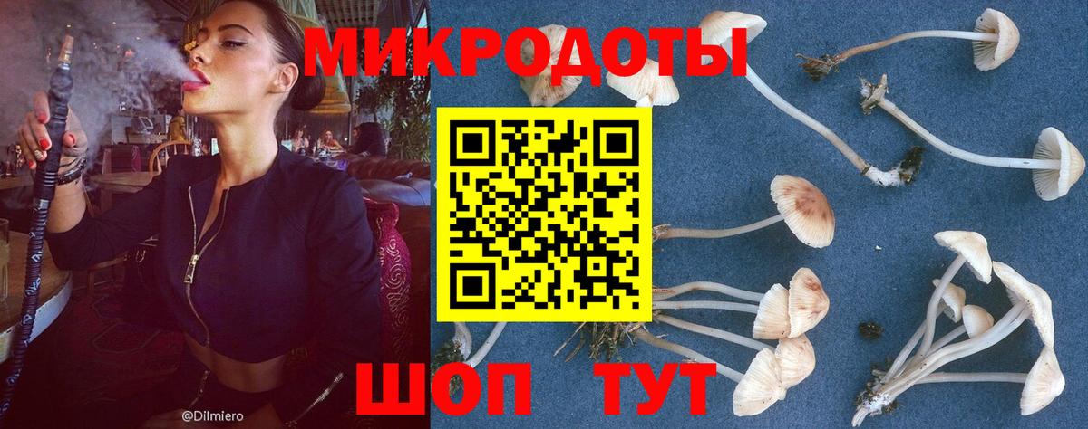 Псилоцибиновые грибы Cubensis  Карпинск  Псилоцибиновые грибы мицелий 