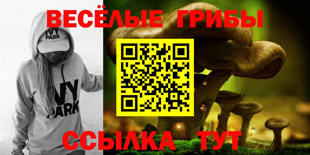 Псилоцибиновые грибы GOLDEN TEACHER Карпинск