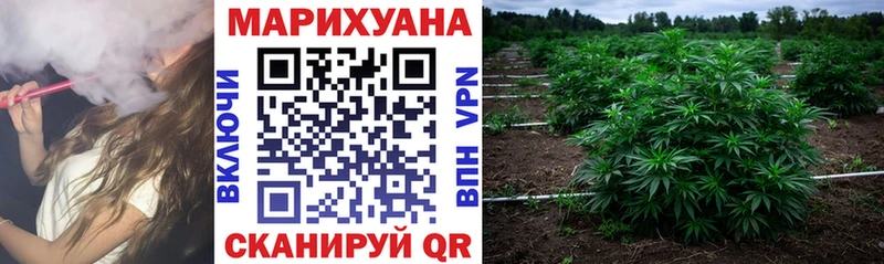 купить наркоту  Карпинск  Канабис гибрид 